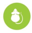 Mouse logo