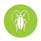 Cockroach logo