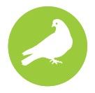 Pigeon logo