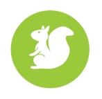 Squirrel logo