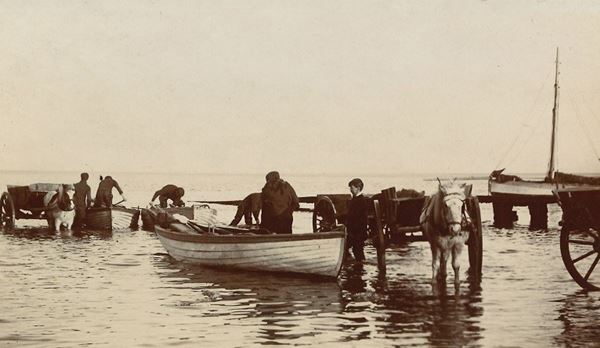 Black and white photo of half a dozen men and boys transferring mussels from small boats into horse drawn carts. This is going on in shallow water, with the horses and some of the people standing ankle-deep or knee-deep in the sea.