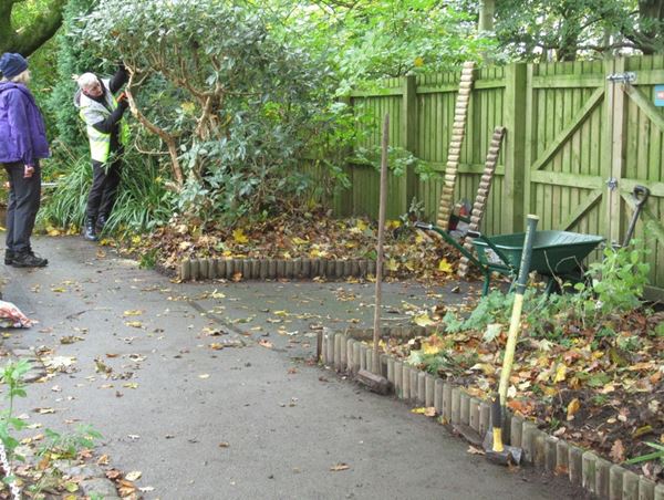 Friends of Williamson Park at work