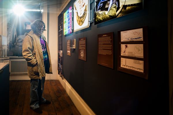 photo of a visitor looking at an exhibition