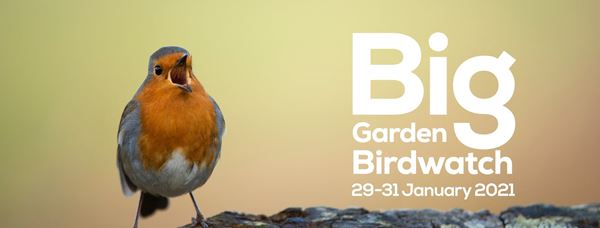 Big Garden Birdwatch 2021