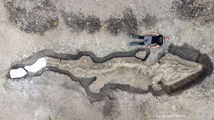 Dr Dean Lomax with the ichthyosaur