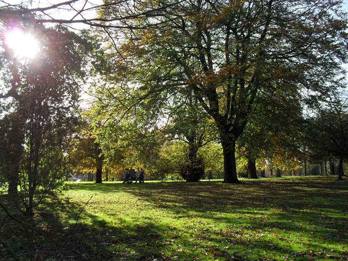 Ryelands Park - Lancaster City Council