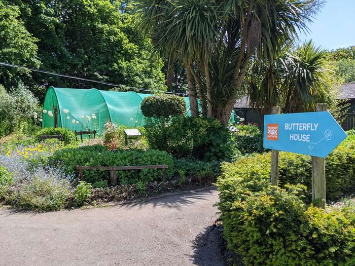 The Butterfly House and Mini Zoo at Williamson Park have reopened to the public