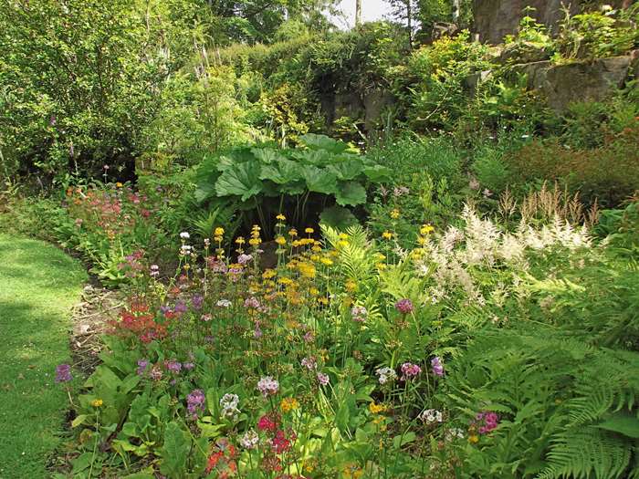 The Friends Garden in bloom